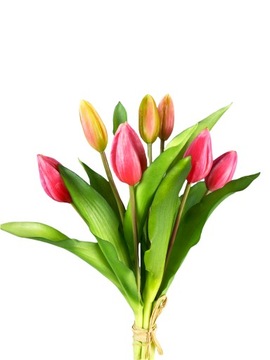 BUKIET TULIPANÓW 7 TULIPANY GUMOWANE MALINOWY RÓŻ