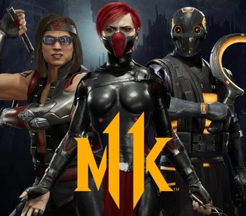 Mortal Kombat 11 Ultimate Time Warriors Skin Pack DLC PS5 Kod Klucz