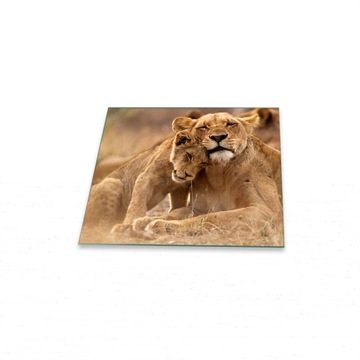 Защитное стекло для печи Lwy 60x52