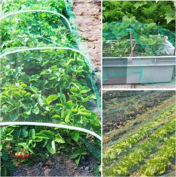 Siatka Ochronna na Ptaki Gołębie Przeciw Ptakom na Drzewa Borówki do Ogrodu