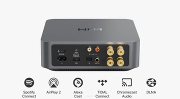 Wiim Amp - стереоусилитель с сетевым/HDMI модулем