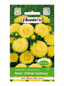 ASTER KARŁOWY ŻÓŁTY KSANTYPA 1 g 'P