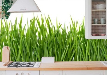 NAKLEJKI DO KUCHNI ŚCIANA trawa pole LAMINAT