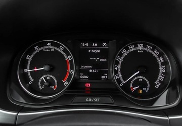 Skoda Fabia III Kombi Facelifting 1.0 TSI 95KM 2021 Skoda Fabia 1.0TSI 95KM Ambition Plus, Kamera Cofania, Czujniki Parkowania, zdjęcie 18