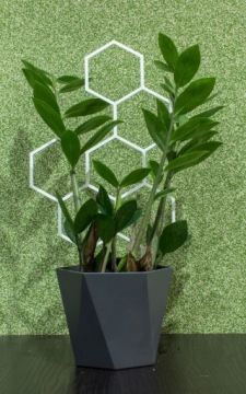 ПОДДЕРЖКА ДЛЯ РАСТЕНИЙ ЦВЕТОВ ЛЕСТНИЦА ПЕРГОЛА МЕДОВАЯ