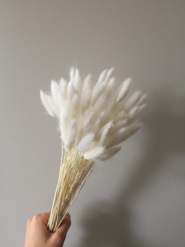 Хвост кролика, Яйцеклетка сушеный лагурус, БЕЛЫЙ, ПУШИСТЫЙ ХВОСТ ЗАЙКИ