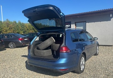 Volkswagen Golf VII Variant 1.6 TDI BlueMotion Technology 110KM 2016 Volkswagen Golf 2016r 1.6 Diesel 110KM, zdjęcie 12
