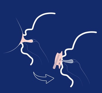 LOVI 2 smoczki smoczek dynamiczny 18m+ Night&Day Hedgehog świecący