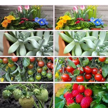 2 x лампа для выращивания растений, 40 светодиодных панелей, таймер + водонепроницаемый пульт дистанционного управления