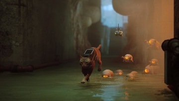 Бродячая PS5