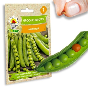 Nasiona warzyw GROCH AMBROSIA Wczesny Plenny