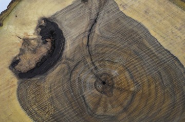 Доска Патера Срез ореха 45х41Гр6