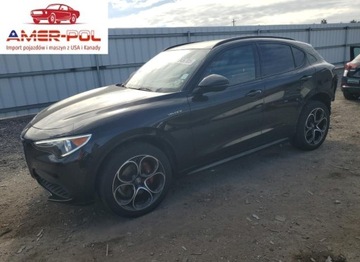 Alfa Romeo Stelvio SUV Facelifting 2.0 Turbo 280KM 2022 Alfa Romeo Stelvio Ti 2022 2.0 Benzyna 280KM