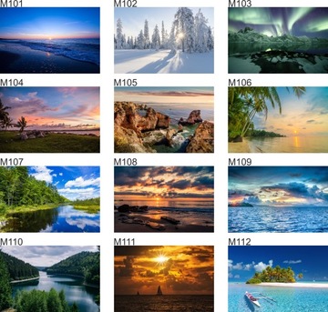 Уникальная копилка XL за 5 злотых, Различные Пейзажи, Виды, с автоматическим выводом средств.