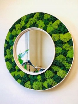 ФИНСКИЙ ДЕКОРАТИВНЫЙ ЗЕЛЕНЫЙ ОЛЕНЬИЙ МОХ ДЛЯ ДЕКОРАТИВНЫХ КРЕМОВ