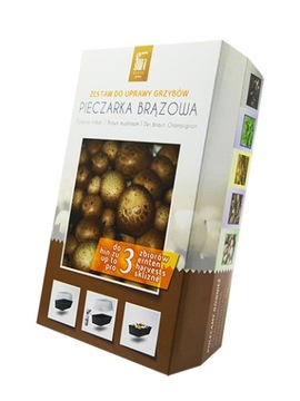 Вешенка + мицелий КОРИЧНЕВЫЙ ГРИБ 15кг