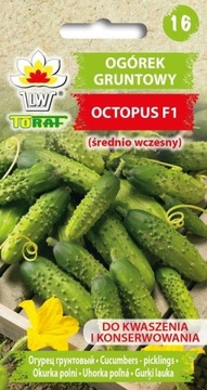 Ogórek gruntowy OCTOPUS F1 1g TORAF