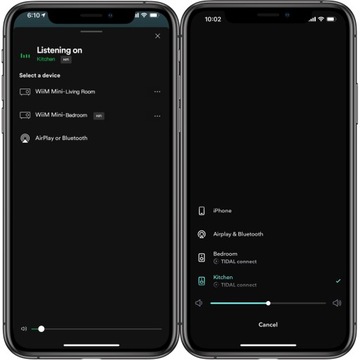 WIIM PRO WIFI BT СЕТЕВОЙ ПОТОКОВЫЙ ПЛЕЕР