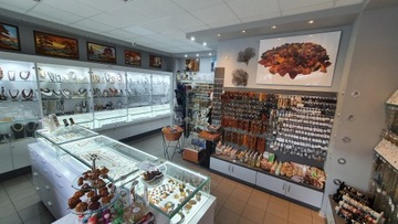 Mutt - Сумка с питомцем, отличный подарок