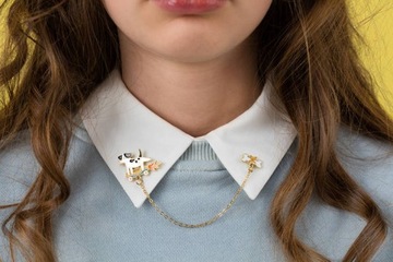 ШПИНКА ДЛЯ Ошейника КОСТИ ДЛЯ СКЕЙТБОРДА ДЛЯ СОБАКИ