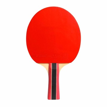 CORNILLEAU RAKIETKA SPORT 300 INDOOR