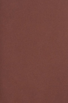 Papier Burano 250g Bordeux bordowy - 20A4