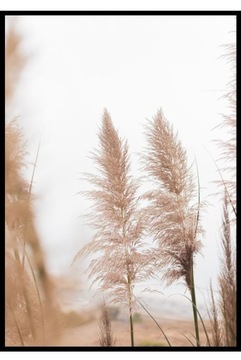 НАБОР постеров СОСТАВ 2 штуки размеры 30х40 бежевый