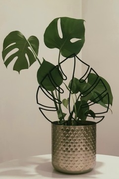 Растение цветочного украшения Monstera II 36,5 см