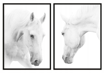 OBRAZ PLAKATY W RAMIE 53x73cm Dyptyk Konie P710