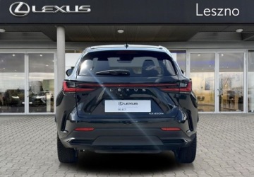 Lexus NX II SUV Facelifting 2.5 450h+ 309KM 2024 Lexus NX 450h Prestige AWD VAT 23 ASO Lexus Leszno 2.5 309KM, zdjęcie 4