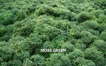 Мох оленьего краба 500г НЕТТО 15 цветов