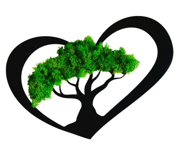 OBRAZ DRZEWO BONSAI Z MCHU CHROBOTEK ŻYWY XXL PREZENT ŚWIĘTA UPOMINEK