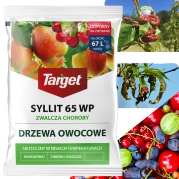 SYLLIT 65WP 45g GRZYBOBÓJCZY KĘDZIERZAWOŚĆ PARCH ZARAZA PLAMISTOŚĆ LIŚCI