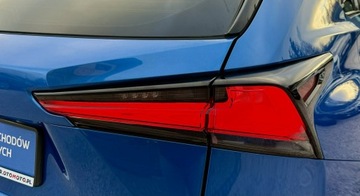 Lexus NX I 2020 Lexus NX 300h,Hybryda,4x4,Europa, zdjęcie 17