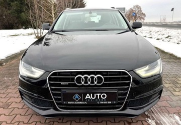 Audi A4 B8 Allroad quattro Facelifting 2.0 TDI 177KM 2014 Audi a4 Po lifcie S-LINE 4X4 S-tronic 177KM Xenon Ledy GWARANCJA 2.0 Diesel, zdjęcie 12