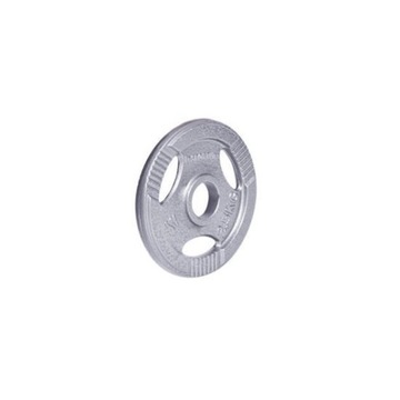 OBCIĄŻENIE INSPORTLINE Hamerton 30mm 2,5kg STAL