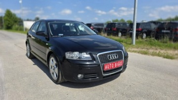 Audi A3 8P Hatchback 3d 2.0 TDI PD 140KM 2008 Audi A3 Sportback climatronic zarejestrowane duza, zdjęcie 6