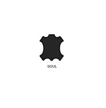 КРАСКА ДЛЯ ОБНОВЛЕНИЯ, РЕМОНТА И ЗАЩИТЫ AUDI SOUL РУЛЕВАЯ КОЖА РУЛЕВОГО УПРАВЛЕНИЯ