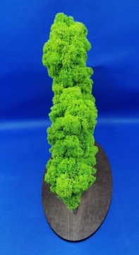 Дерево бонсай с 3D мхом, красивый мох со всех сторон