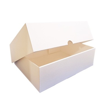 Pudło archiwalne bezkwasowe Protectbox A4