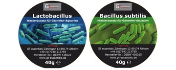 GT Lactobacillus 40g + Bacillus 40g - e-