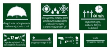 Краска для крыши Rafil RADACH 5л Ral7024 полуматовая