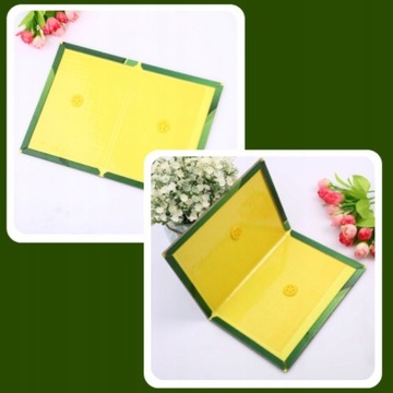 10x MUZETRAP LEP ЛОВУШКА ДЛЯ МЫШЕЛОВКИ ДЛЯ КРЫС ЭКО ДЛЯ ГРЫЗУНОВ ДЛЯ ДОМА