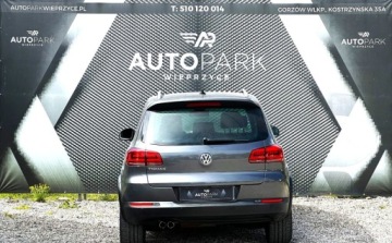 Volkswagen Tiguan I 2015 Volkswagen Tiguan Automat 4x4 dach panorama Gorzow Wlkp 2.0 Diesel, zdjęcie 18