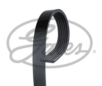 GATES 6PK1138EST Pasek klinowy wielorowkowy