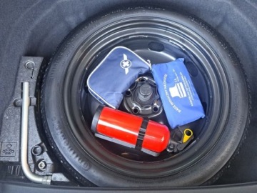 Volkswagen Golf VII GTI 3d Facelifting 2.0 TSI 245KM 2017 Volkswagen Golf Salon PL, Serwisowany, ACC, Ambiente, 2.0 Benzyna 244KM, zdjęcie 30