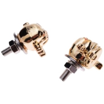 Винты номерного знака с золотым черепом и скрещенными костями