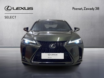 Lexus UX Crossover Facelifting 2.0 250h 184KM 2023 Lexus UX 250h GPF F Sport Design 2WD Lexus UX 250h, zdjęcie 5