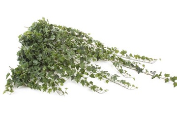 Длинная искусственная лоза плюща Hedera English 170