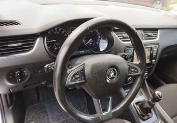 Skoda Octavia III 2017 Skoda Octavia Skoda Octavia 1.6 TDI Edition 1.6 Diesel 110KM, zdjęcie 17